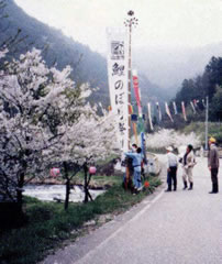 桜並木散策の様子